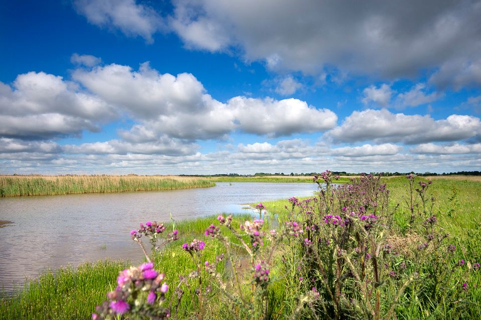 Poëzieroute Achtkarspelen