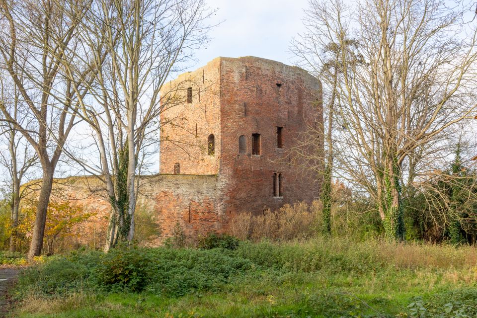 Ruïne van Kasteel Teylingen