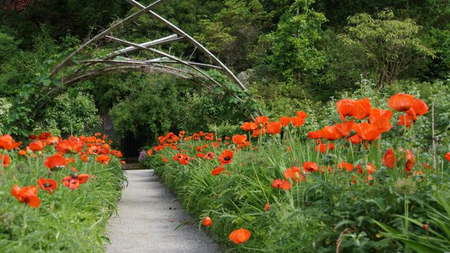 tuin met pad