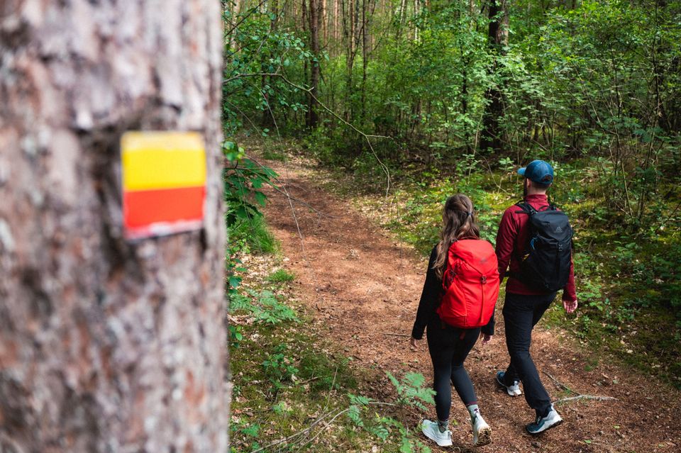 Twee mensen wandelen. Op de voorgrond staat het bordje van het Drenthepad