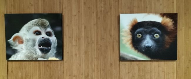 foto: Expositie Simeonshof