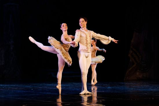 Het Nationale Ballet van Noord-Macedonië - De Notenkraker