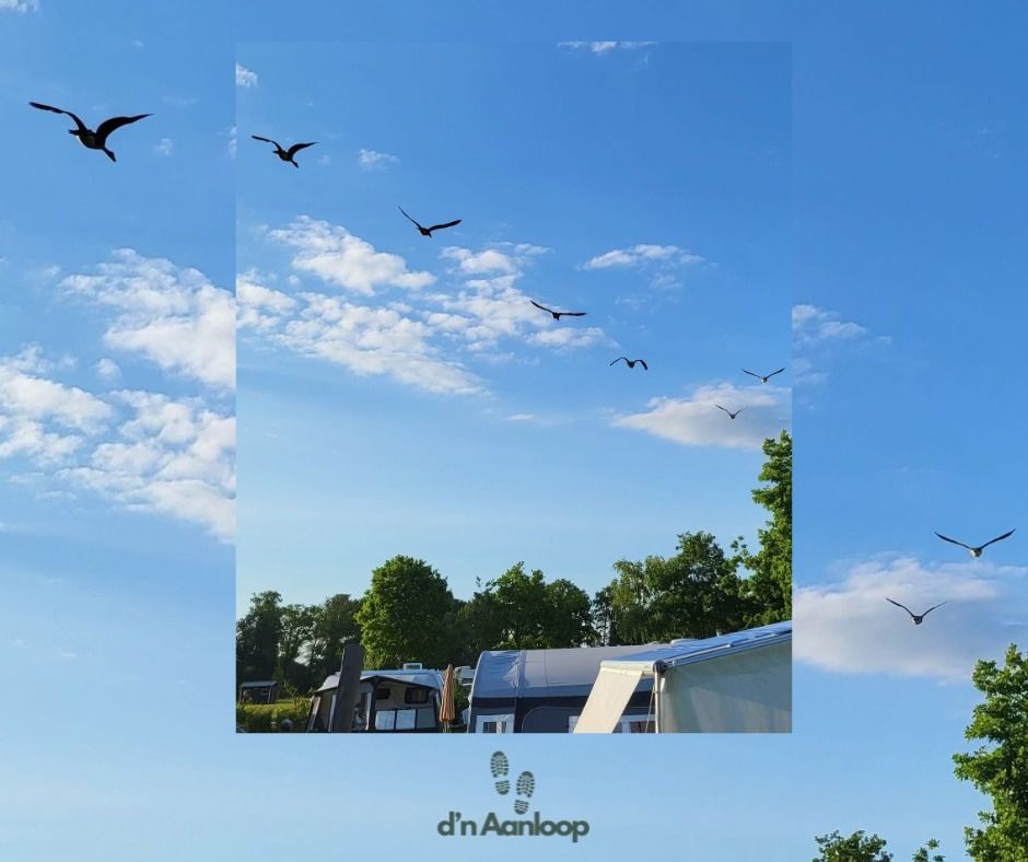 Tenten bij Camping dn Aanloop