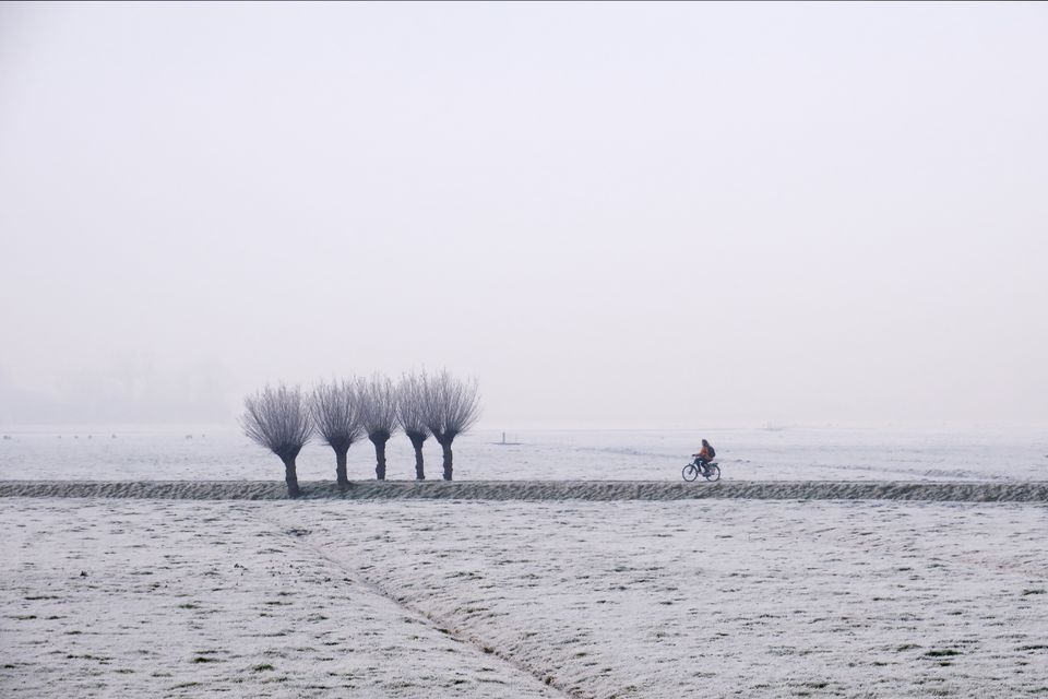 Fietsen door winters landschap sneeuw Groene Hart
