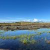Vlieland