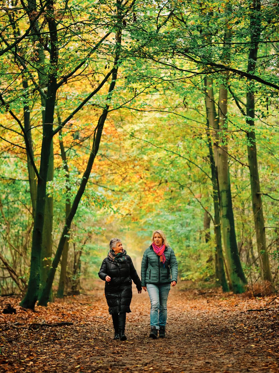 Twee vrouwen wandelen door een herfstig Kuinderbos