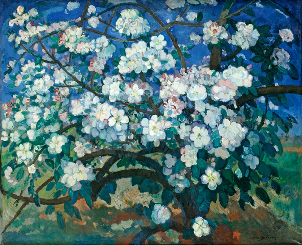 Gerrit van Bladeren - Bloeiende appelboom