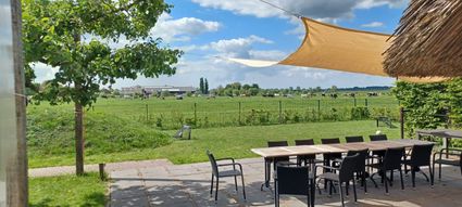 Vakantiehuis The Old Farmhouse, Montfoort, Groene Hart, terras met lange houten eettafel en stoelen onder zonneschermen met uitzicht op een groen weiland met grazende koeien in het open polderlandschap.