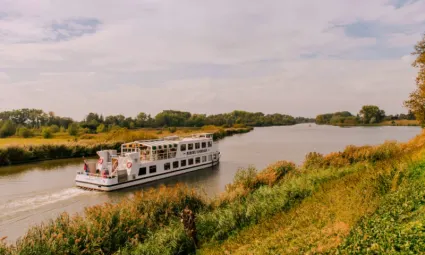Cruiseschip vaart over de Linge in een zomers landschap