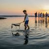 Gouden uur wadexcursie met de Waddenvereniging