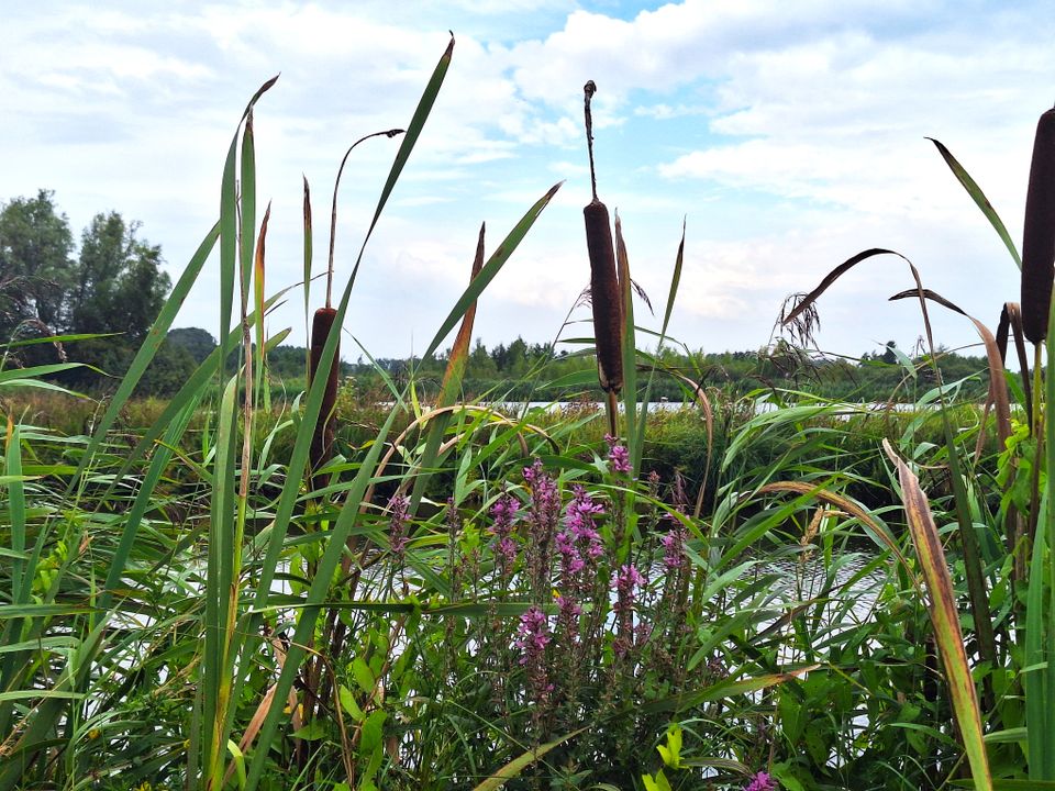 Swalkroute Warten