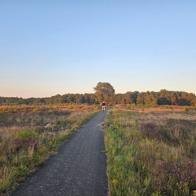 Fietsers heide Vierhouten