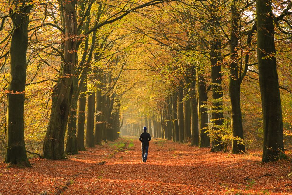Ein Mann geht im Herbst im Wald