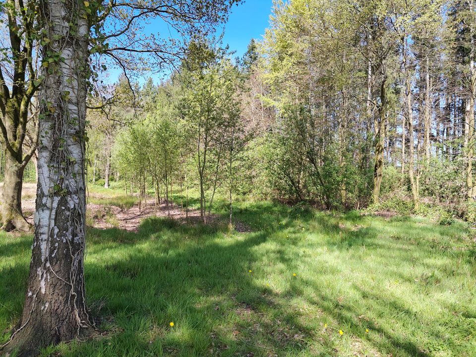Wolvega - Blesdijke - Lendevallei | Bonifatius Kloosterpad: rondje 10
