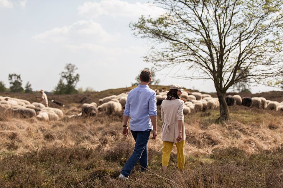 Een man en vrouw wandelen langs een schaapskudde in de natuur.
