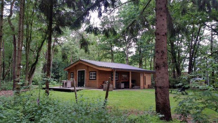 Vakantie in het bos!