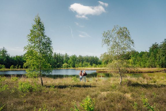 Wandelen zwd