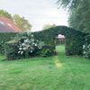 Bezoekerstuin