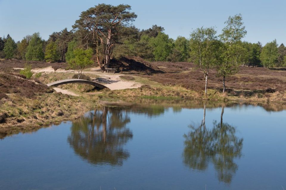 Landgoed Bornia - Utrechts Landschap