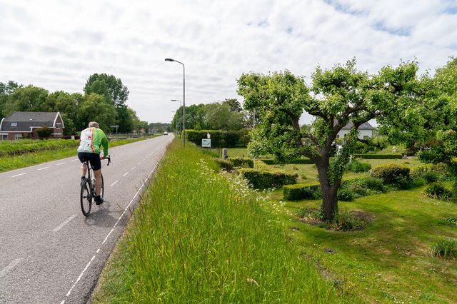 Wielrenner fietsend in het natuurgebied Midden-Delfland