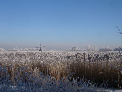 Foto van zouweboezem met molen