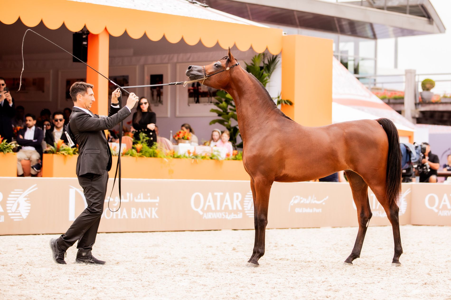 Global Champions Arabians Tour