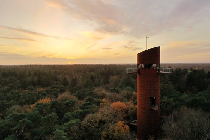 Der Aussichtsturm Bosbergtoren erhebt sich hoch über den Baumwipfeln des Drents-Friese Wold.