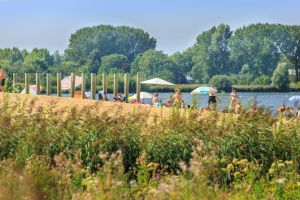 Op het brede zandstrand van de Haarrijnse Plas is het heerlijk toeven. Het einde van de lange steiger is dé plek voor een bommetje. Het zwemwater is kristalhelder en schoon want nergens mogen er in dit volgelopen zandwinningsgebied motorboten varen.