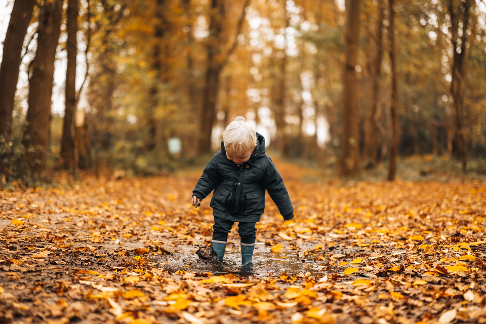 Een klein jongentjes stapt in het bos, tussen de herfstbladeren door, met zijn laarsjes in een regenplas.