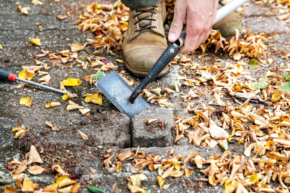 Schop in de grond tussen bladeren