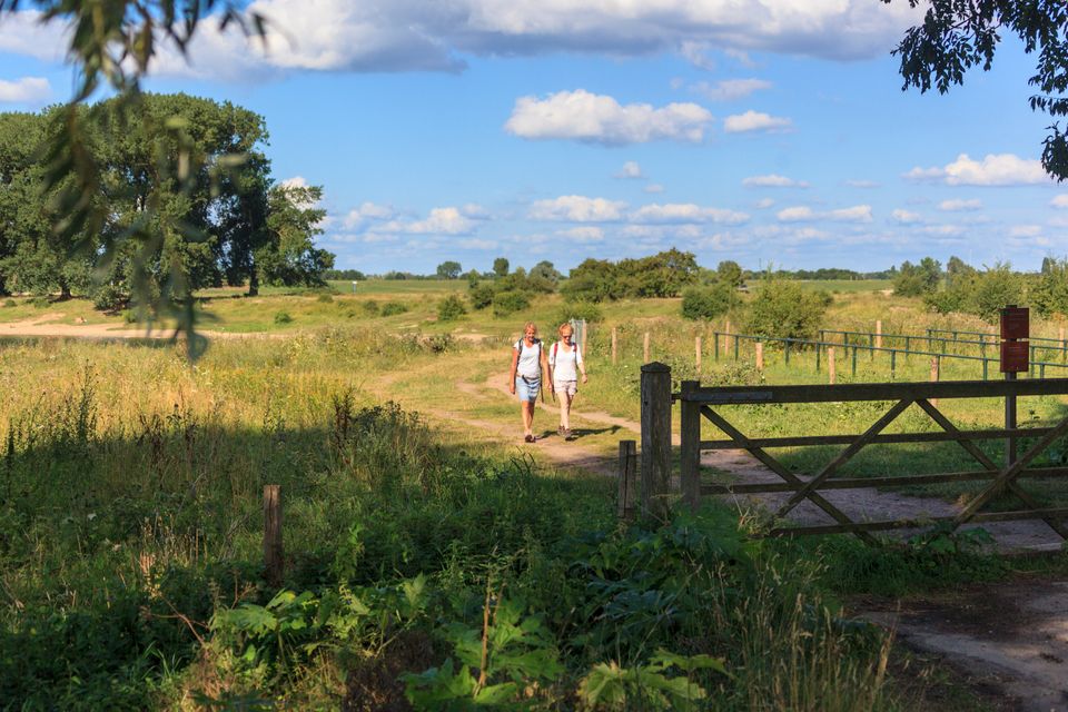 Wandelen in de Ooijpolder