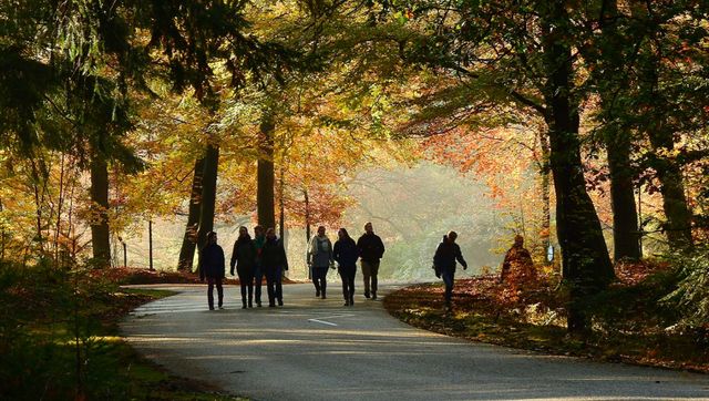 Natuur