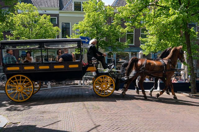 Paardentram in Delft rijdend langs de grachten in de zomer