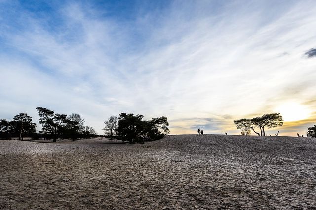 Soestduinen