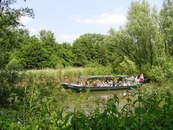 Biesbosch fluistervaartocht