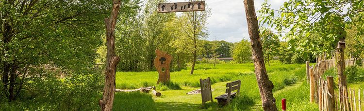 Toon Kortooms Park - Blote voeten pad