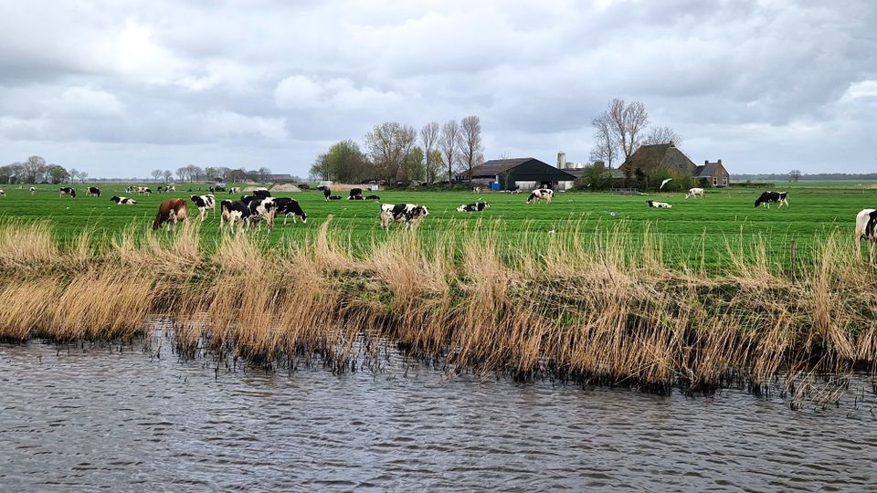 Lekkum - Wyns - Jelsum - Snakkerburen | Rondjes om de kerken
