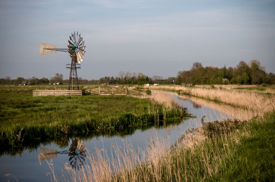Geniet van al het moois in natuurgebied De Alde Feanen