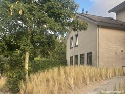 vakantiehuis voor 4 personen in het bos