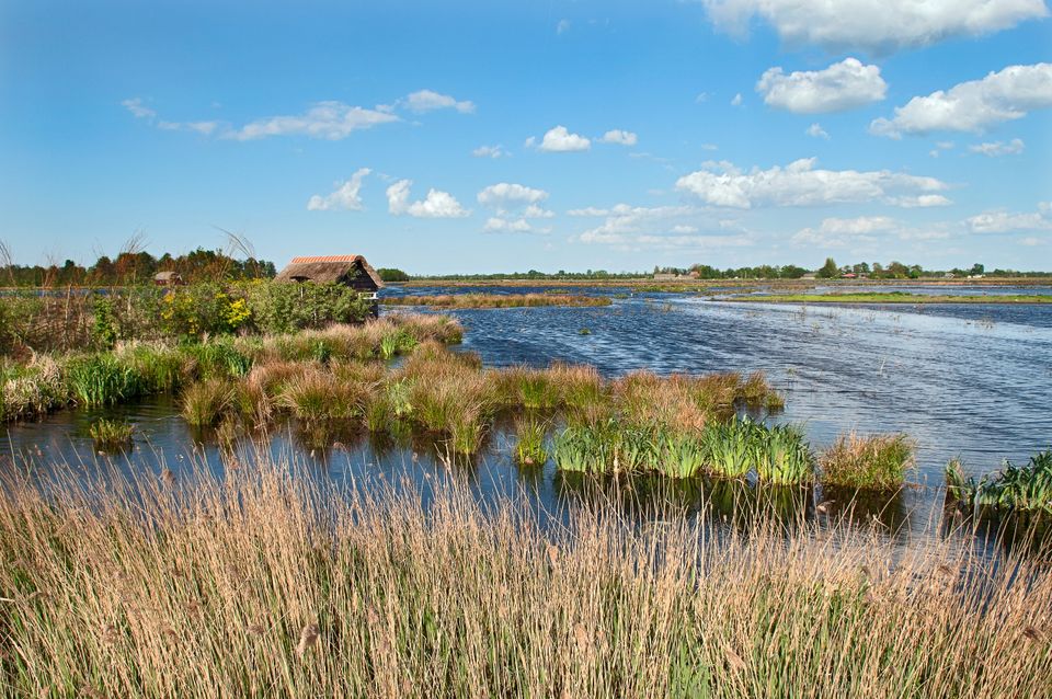 Wandelroute rondom Jan Durkspolder | Nationaal Park De Alde Feanen