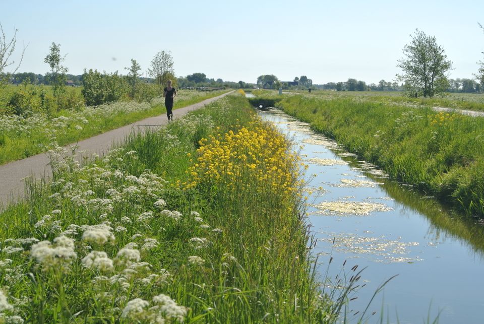 hardloper in buitengebied ijlst