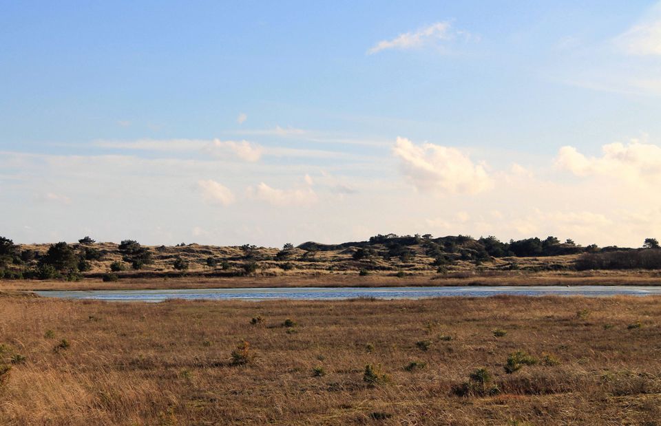 Vlieland ruige omgeving met meertje