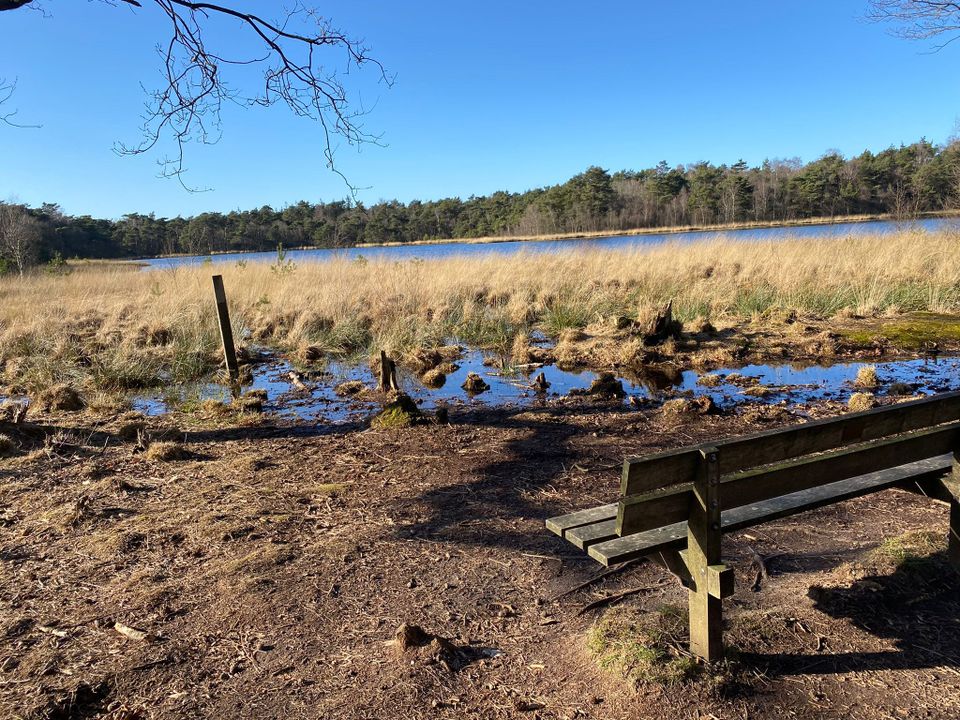Ter nagedachtenis aan Fred van Vemden -als schoolmeester en vogelaar onverbredelijk verboden met Uffelte- is in 2013 bij het Brandeveen een bankje onthuld. Op dit bankje kunt u genieten van de pracht van het Brandeveen.