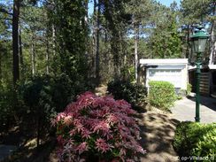 studio voor 2 personen in het bosgedeelte van het dorp