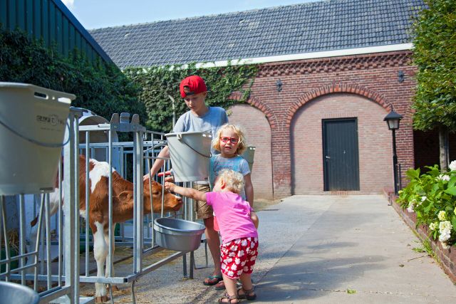 Dieren voeren op boerderij De Brabantse Kluis