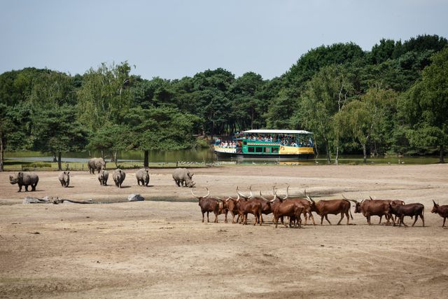 Een foto van de boot die door het park over het water vaart met uitzicht op de dieren