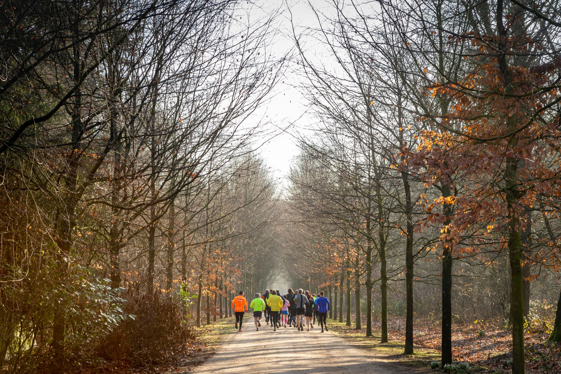 Warandeloop Tilburg