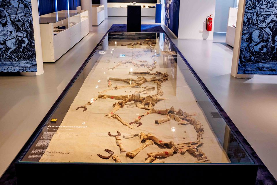 Maastricht Museum botten paarden massagraf