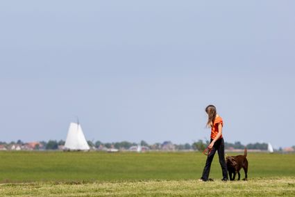 wandelen met hond langs het water