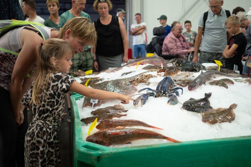 Vistafel bij Visafslag Urk locatie Harlingen.